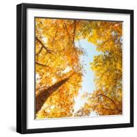 Fall in Height-Philippe Sainte-Laudy-Framed Photographic Print