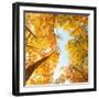 Fall in Height-Philippe Sainte-Laudy-Framed Photographic Print