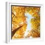 Fall in Height-Philippe Sainte-Laudy-Framed Photographic Print