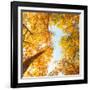 Fall in Height-Philippe Sainte-Laudy-Framed Photographic Print