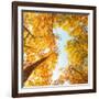 Fall in Height-Philippe Sainte-Laudy-Framed Photographic Print