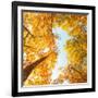 Fall in Height-Philippe Sainte-Laudy-Framed Photographic Print