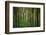 Fall in McCormics Creek State Park, Indiana, USA-Anna Miller-Framed Photographic Print