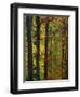 Fall in McCormics Creek State Park, Indiana, USA-Anna Miller-Framed Photographic Print
