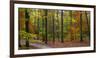 Fall in McCormics Creek State Park, Indiana, USA-Anna Miller-Framed Photographic Print