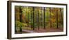 Fall in McCormics Creek State Park, Indiana, USA-Anna Miller-Framed Photographic Print