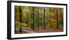 Fall in McCormics Creek State Park, Indiana, USA-Anna Miller-Framed Photographic Print