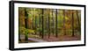 Fall in McCormics Creek State Park, Indiana, USA-Anna Miller-Framed Photographic Print