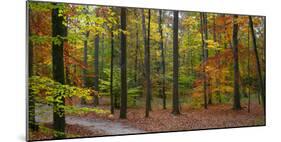 Fall in McCormics Creek State Park, Indiana, USA-Anna Miller-Mounted Photographic Print