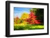 Fall in Painting-Philippe Sainte-Laudy-Framed Photographic Print