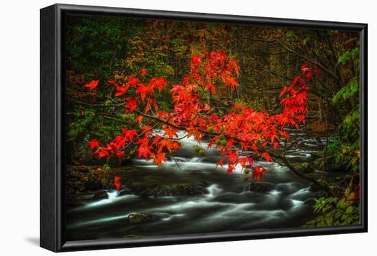 Fall in Smokies-Robert Lott-Framed Art Print