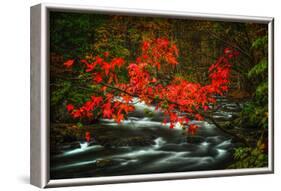 Fall in Smokies-Robert Lott-Framed Art Print