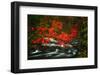 Fall in Smokies-Robert Lott-Framed Art Print