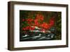 Fall in Smokies-Robert Lott-Framed Art Print