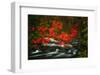 Fall in Smokies-Robert Lott-Framed Art Print