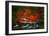 Fall in Smokies-Robert Lott-Framed Art Print