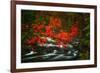 Fall in Smokies-Robert Lott-Framed Art Print