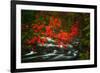 Fall in Smokies-Robert Lott-Framed Art Print