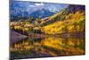 Fall in the Colorado-duallogic-Mounted Photographic Print