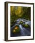 Fall in the Columbia River Gorge in Oregon-Miles Morgan-Framed Photographic Print