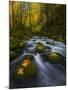 Fall in the Columbia River Gorge in Oregon-Miles Morgan-Mounted Photographic Print