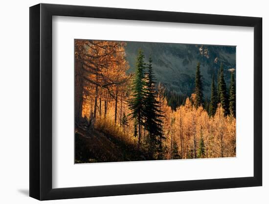 Fall in the Mountains-Ursula Abresch-Framed Photographic Print