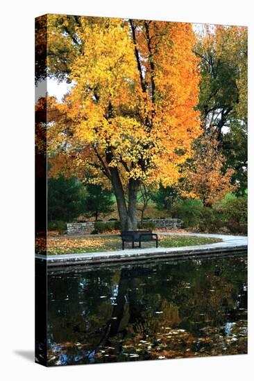 Fall in the Park-Tammy Putman-Stretched Canvas