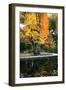 Fall in the Park-Tammy Putman-Framed Photographic Print
