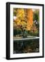 Fall in the Park-Tammy Putman-Framed Photographic Print