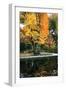 Fall in the Park-Tammy Putman-Framed Photographic Print