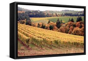 Fall in Wine Country I-Maureen Love-Framed Stretched Canvas