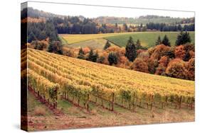 Fall in Wine Country I-Maureen Love-Stretched Canvas