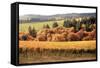 Fall in Wine Country I-Maureen Love-Framed Stretched Canvas
