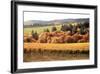 Fall in Wine Country I-Maureen Love-Framed Photographic Print