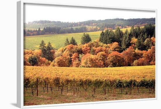 Fall in Wine Country I-Maureen Love-Framed Photographic Print