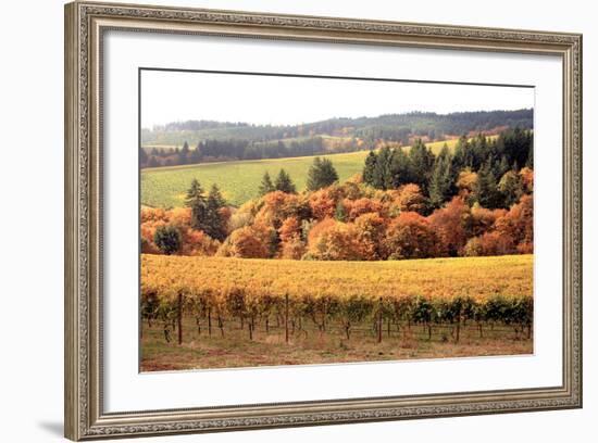 Fall in Wine Country I-Maureen Love-Framed Photographic Print