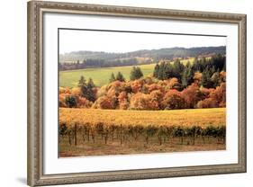 Fall in Wine Country I-Maureen Love-Framed Photographic Print