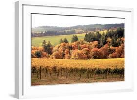 Fall in Wine Country I-Maureen Love-Framed Photographic Print