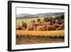 Fall in Wine Country I-Maureen Love-Framed Photographic Print