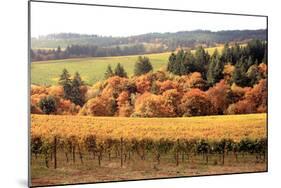 Fall in Wine Country I-Maureen Love-Mounted Photographic Print