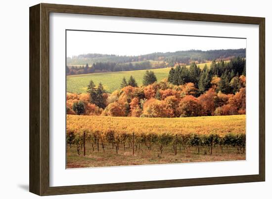 Fall in Wine Country I-Maureen Love-Framed Photographic Print