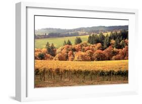 Fall in Wine Country I-Maureen Love-Framed Photographic Print