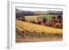 Fall in Wine Country I-Maureen Love-Framed Photographic Print