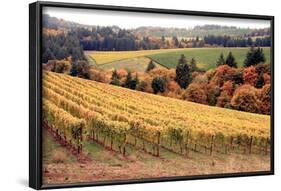 Fall in Wine Country I-Maureen Love-Framed Photographic Print