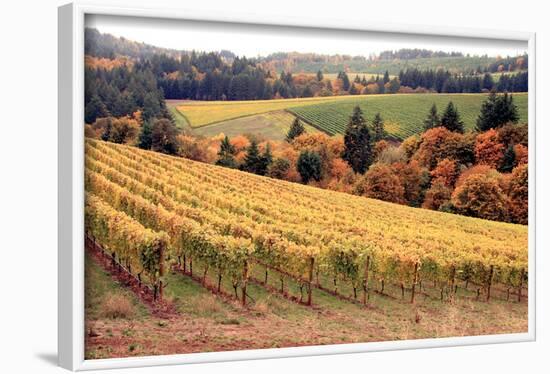 Fall in Wine Country I-Maureen Love-Framed Photographic Print