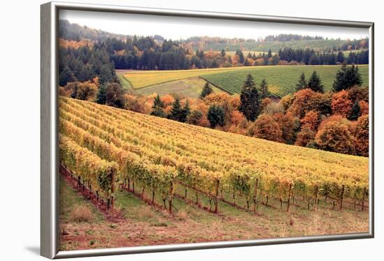 Fall in Wine Country I-Maureen Love-Framed Photographic Print