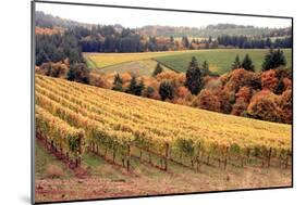 Fall in Wine Country I-Maureen Love-Mounted Photographic Print