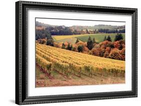 Fall in Wine Country I-Maureen Love-Framed Photographic Print