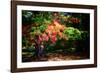Fall Is On Our Doorstep.-Philippe Sainte-Laudy-Framed Photographic Print