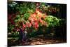 Fall Is On Our Doorstep.-Philippe Sainte-Laudy-Mounted Photographic Print